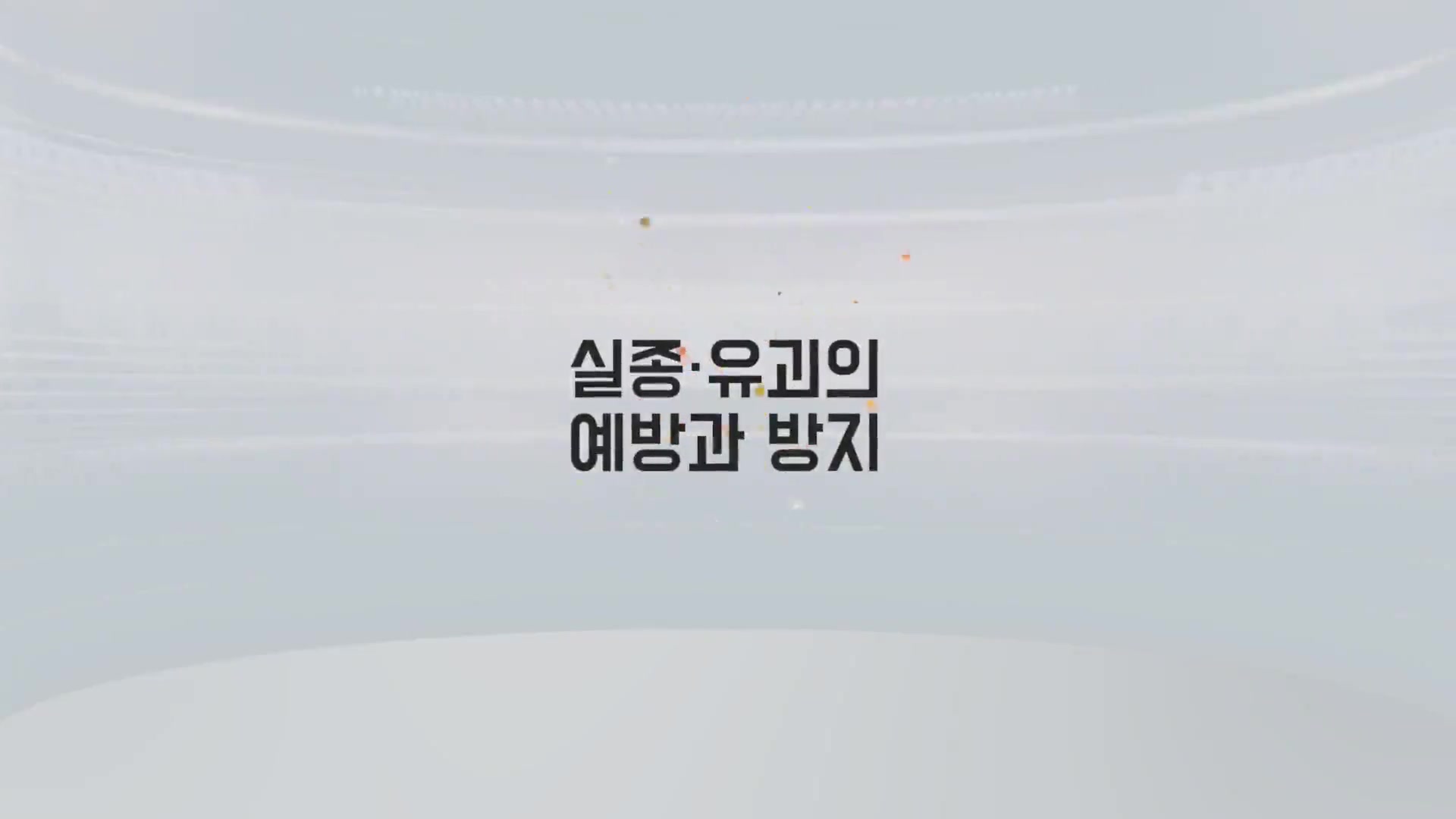 교육과정사진